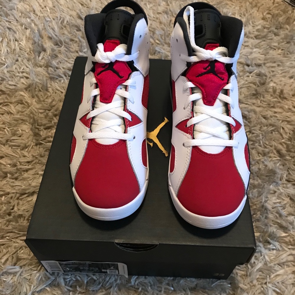 Jordan 6 Carmine